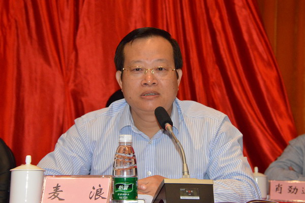 1458547637244635.jpg 麦浪副书记讲话_缩小大小.JPG