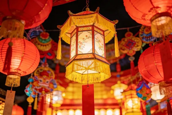 海医邀你游园｜元宵佳节，灯火可亲，好运等你🧨