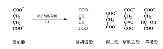 图片包含 表格描述已自动生成