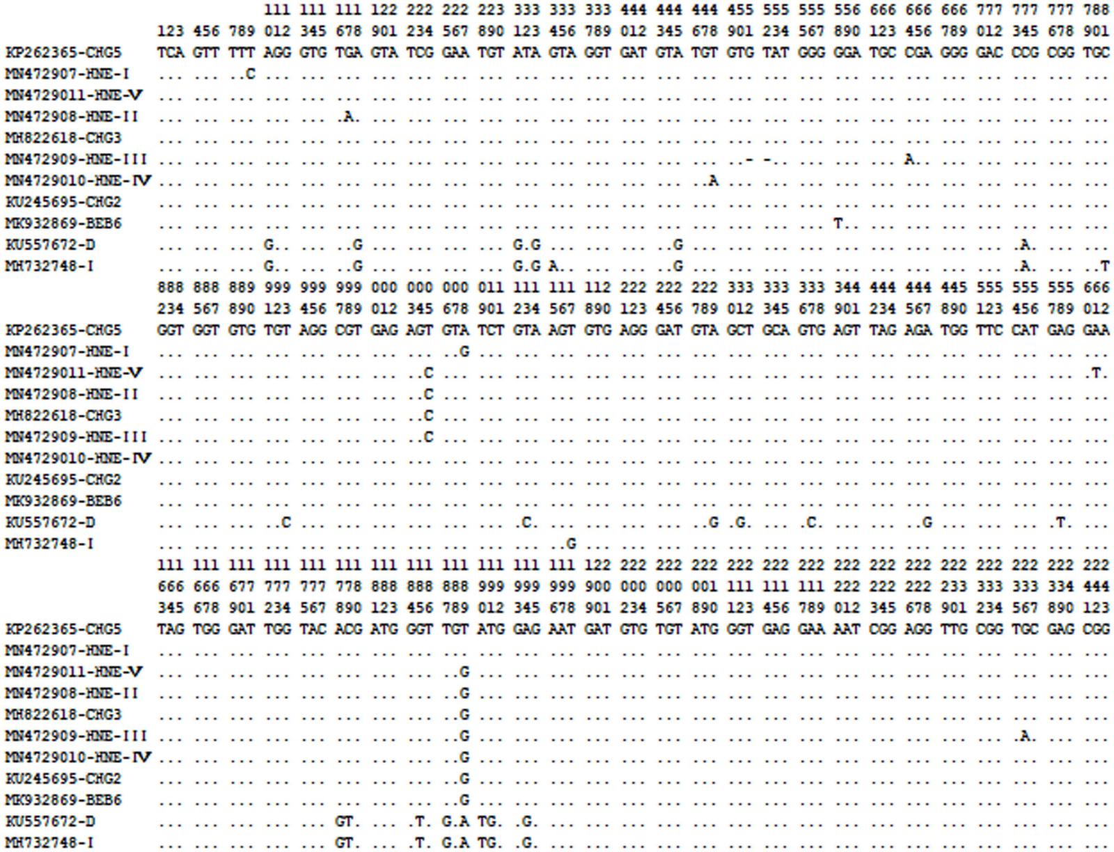 FIGURE2.jpg FIGURE2.jpg