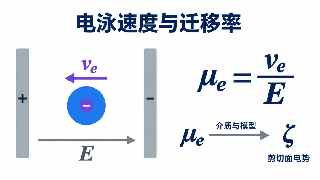 图6