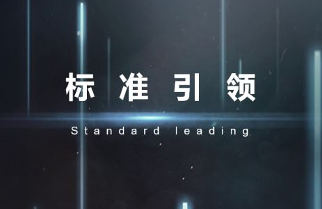 标准引领·博达软件获批西安市服务业标准化试点