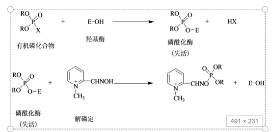 图示描述已自动生成