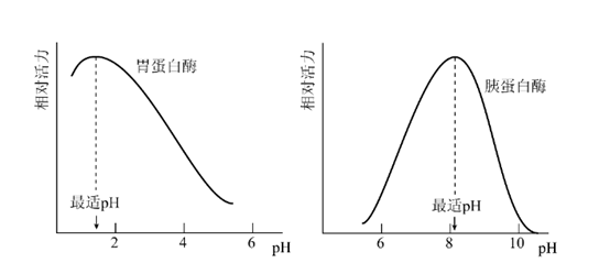 图表, 折线图描述已自动生成