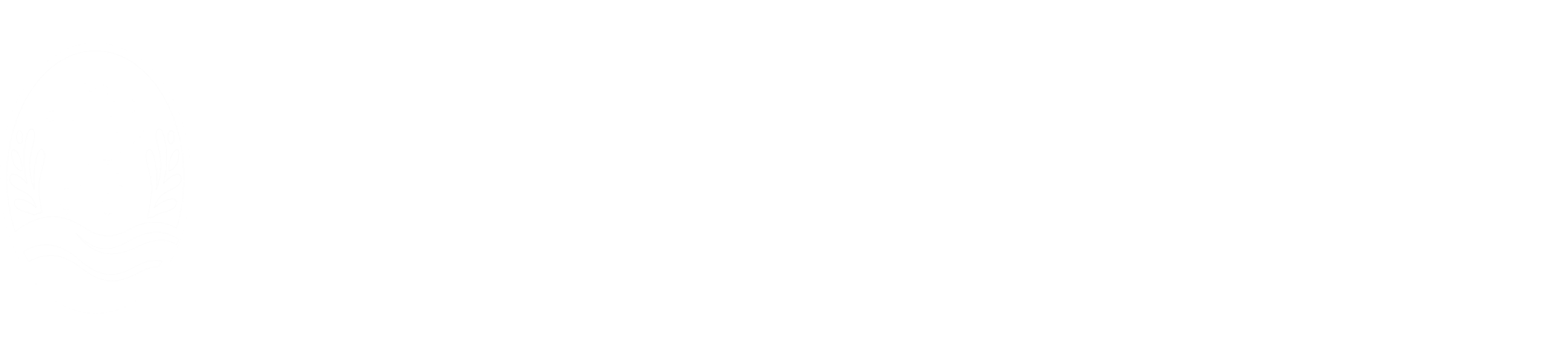 热带药物创新与转化教育部工程中心